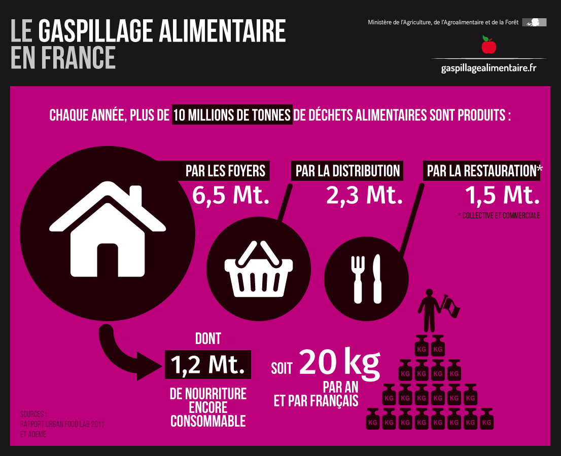 Infographie - Le gaspillage alimentaire en France